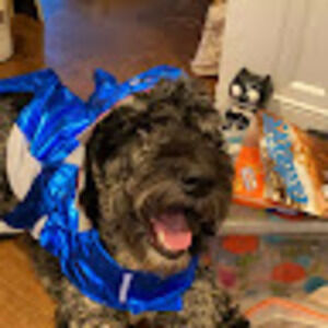 Meet your Posher, Parker